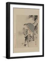 Hawk-null-Framed Art Print