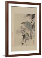 Hawk-null-Framed Art Print