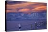 Hawkdun Range and farmland, Maniototo, Central Otago, New Zealand-David Wall-Stretched Canvas