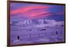 Hawkdun Range and farmland, Maniototo, Central Otago, New Zealand-David Wall-Framed Photographic Print