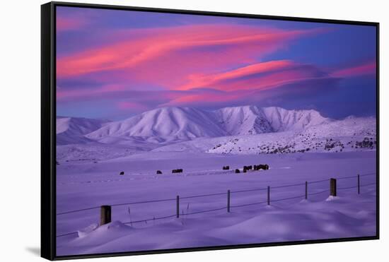 Hawkdun Range and farmland, Maniototo, Central Otago, New Zealand-David Wall-Framed Stretched Canvas