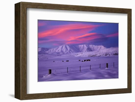 Hawkdun Range and farmland, Maniototo, Central Otago, New Zealand-David Wall-Framed Photographic Print