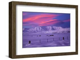 Hawkdun Range and farmland, Maniototo, Central Otago, New Zealand-David Wall-Framed Photographic Print