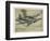 Hawker 'Hurricane'-null-Framed Photographic Print