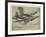 Hawker 'Hurricane'-null-Framed Photographic Print