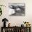 Hawker Hurricanes in Flight-null-Stretched Canvas displayed on a wall