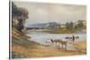 Hawkesbury River New South Wales, The Old Ford-Percy F.s. Spence-Stretched Canvas