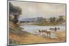 Hawkesbury River New South Wales, The Old Ford-Percy F.s. Spence-Mounted Photographic Print