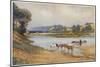 Hawkesbury River New South Wales, The Old Ford-Percy F.s. Spence-Mounted Photographic Print