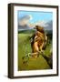 Hawkeye-Spencer Williams-Framed Giclee Print