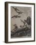 Hawking, 1792-Daniel Dodd-Framed Giclee Print