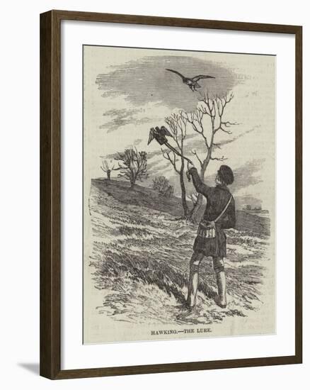 Hawking, the Lure-null-Framed Giclee Print