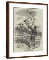 Hawking, the Lure-null-Framed Giclee Print