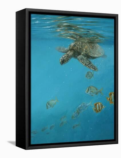 Hawksbill and Butterflies-Michael Jackson-Framed Stretched Canvas
