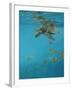 Hawksbill and Butterflies-Michael Jackson-Framed Giclee Print