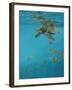 Hawksbill and Butterflies-Michael Jackson-Framed Giclee Print