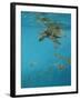 Hawksbill and Butterflies-Michael Jackson-Framed Giclee Print