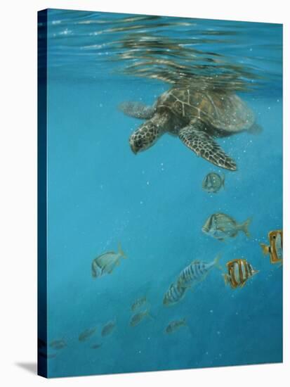 Hawksbill and Butterflies-Michael Jackson-Stretched Canvas