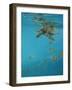 Hawksbill and Butterflies-Michael Jackson-Framed Giclee Print