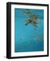 Hawksbill and Butterflies-Michael Jackson-Framed Giclee Print