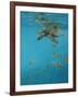 Hawksbill and Butterflies-Michael Jackson-Framed Giclee Print