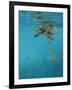 Hawksbill and Butterflies-Michael Jackson-Framed Giclee Print