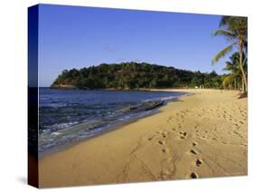 Hawksbill Beach, Antigua, Caribbean, West Indies, Central America-Firecrest Pictures-Stretched Canvas