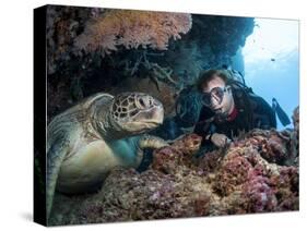 Hawksbill Turtle (Eretmochelys Imbricata) and Diver, Sulawesi, Indonesia, Southeast Asia, Asia-Lisa Collins-Stretched Canvas
