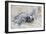 Hawksbill Turtle Hatching-Lantern Press-Framed Art Print