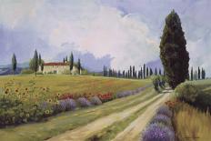 Tuscany Vineyard-Hawley-Giclee Print