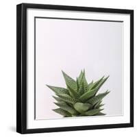 Haworthia-Assaf Frank-Framed Giclee Print