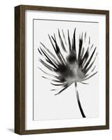 Hawthorn I-Kristine Hegre-Framed Giclee Print