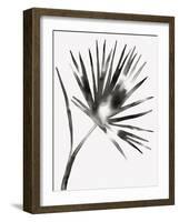 Hawthorn Ii-Kristine Hegre-Framed Giclee Print