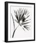 Hawthorn Ii-Kristine Hegre-Framed Giclee Print