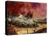 Hawthorn in blossom-Pol Ledent-Stretched Canvas