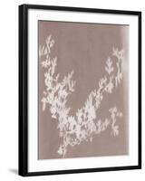 Hawthorn in Grey-Sarah Cheyne-Framed Giclee Print