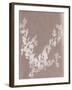 Hawthorn in Grey-Sarah Cheyne-Framed Giclee Print