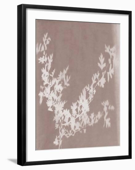 Hawthorn in Grey-Sarah Cheyne-Framed Giclee Print