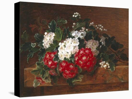 Hawthorn on a Marble Ledge-Johan Laurentz Jensen-Stretched Canvas