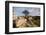 Hawthorn tree and granite outcrop, Saddle Tor, Dartmoor, UK-Ross Hoddinott / 2020VISION-Framed Photographic Print