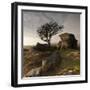 Hawthorn Tree (Crataegus Monogyna) and Granite Outcrop Near Saddle Tor, Dartmoor Np, Devon, UK-Ross Hoddinott-Framed Photographic Print