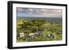 Hawthorn Trees on Dartmoor Moorland in Summer Time, Devon, England. July-Adam Burton-Framed Photographic Print