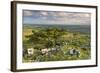 Hawthorn Trees on Dartmoor Moorland in Summer Time, Devon, England. July-Adam Burton-Framed Photographic Print