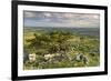 Hawthorn Trees on Dartmoor Moorland in Summer Time, Devon, England. July-Adam Burton-Framed Photographic Print