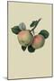 Hawthornden Apple-William Hooker-Mounted Art Print
