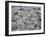 Haxagonal Basalt-Osiris123-Framed Photographic Print