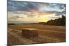 Hay Bale at Sunset, Broadway, the Cotswolds, Gloucestershire, England, United Kingdom, Europe-Matthew Williams-Ellis-Mounted Photographic Print