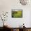 Hay Bale in Sunflowers Field, Bluegrass Region, Kentucky, Usa-Adam Jones-Framed Stretched Canvas displayed on a wall