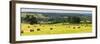 Hay Bale Landscape in Northumberland National Park-Matthew Williams-Ellis-Framed Premium Photographic Print