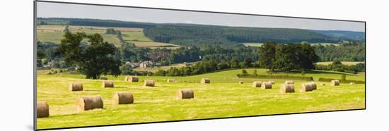 Hay Bale Landscape in Northumberland National Park-Matthew Williams-Ellis-Mounted Premium Photographic Print